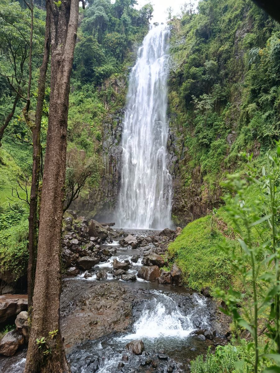 A tall waterfall falling over dark volcanic rock into a rocky stream, surrounded by green forest on the foothills of Kilimanjaro