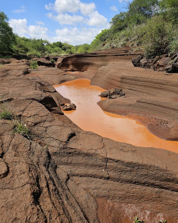Layered red volcanic rock with a pool of orange water and green bush on the banks
