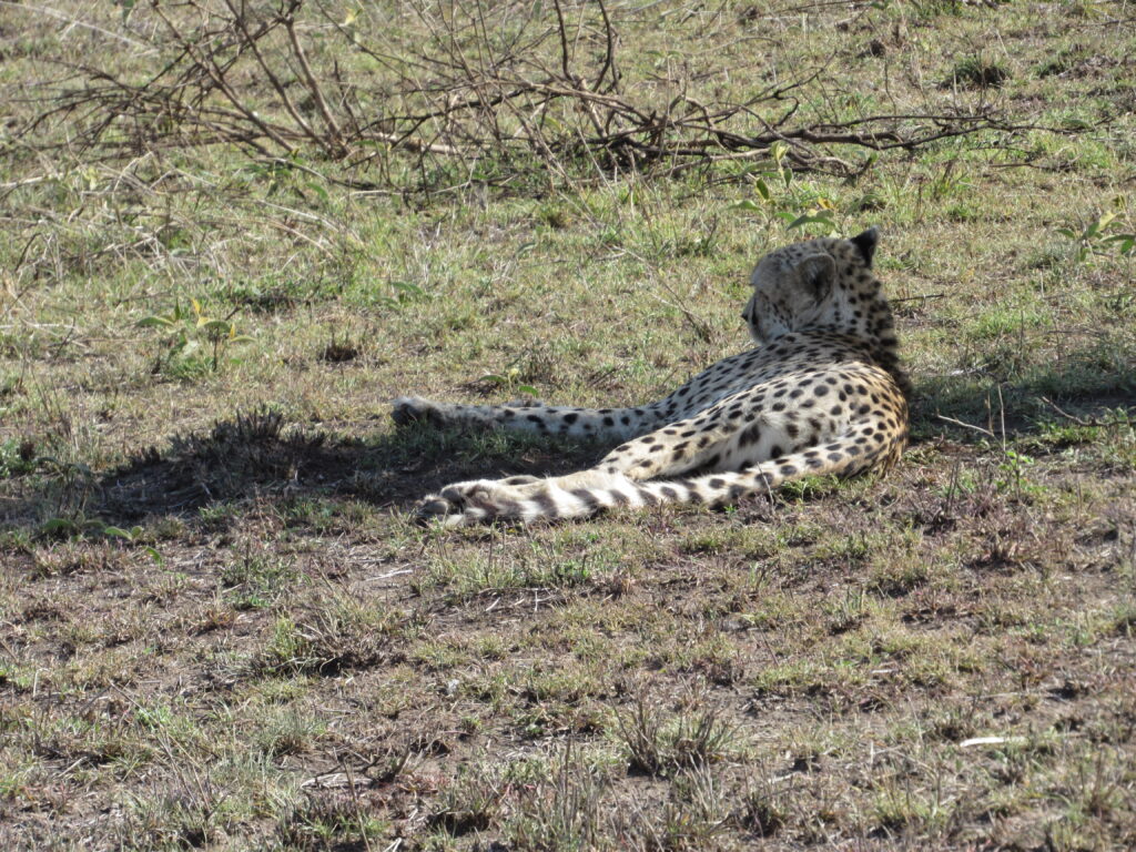 5 day safari in Tanzania