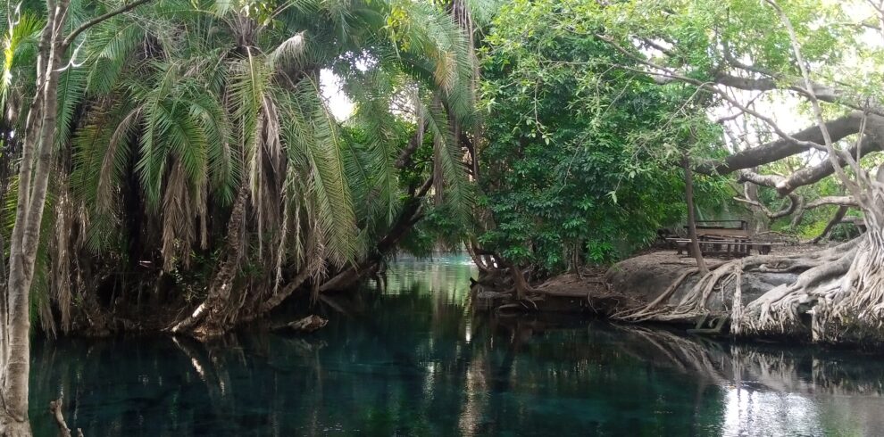 Chemka hot spring tour