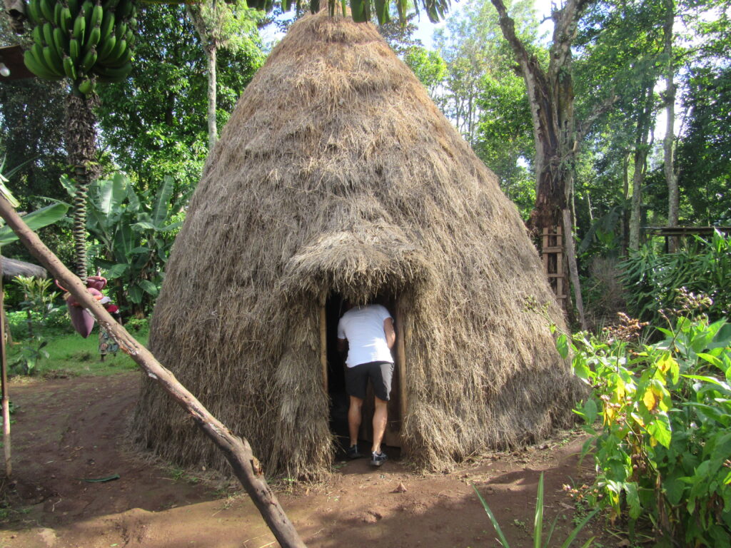 Village tour in Africa