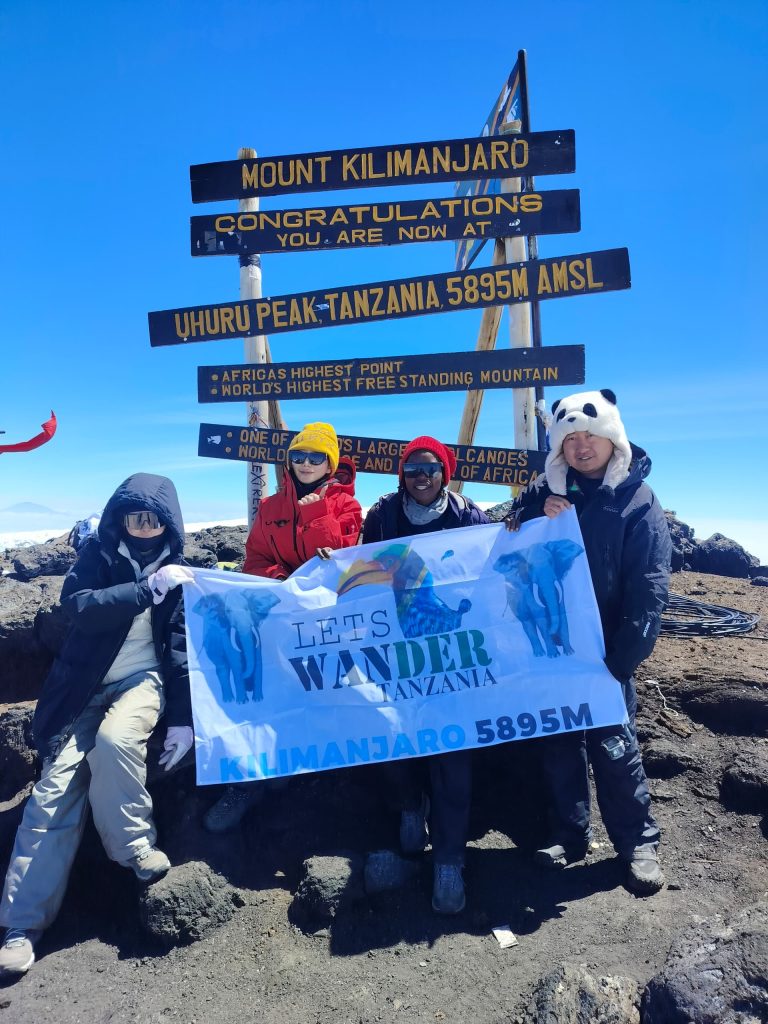 Mt Kilimanjaro summit tours