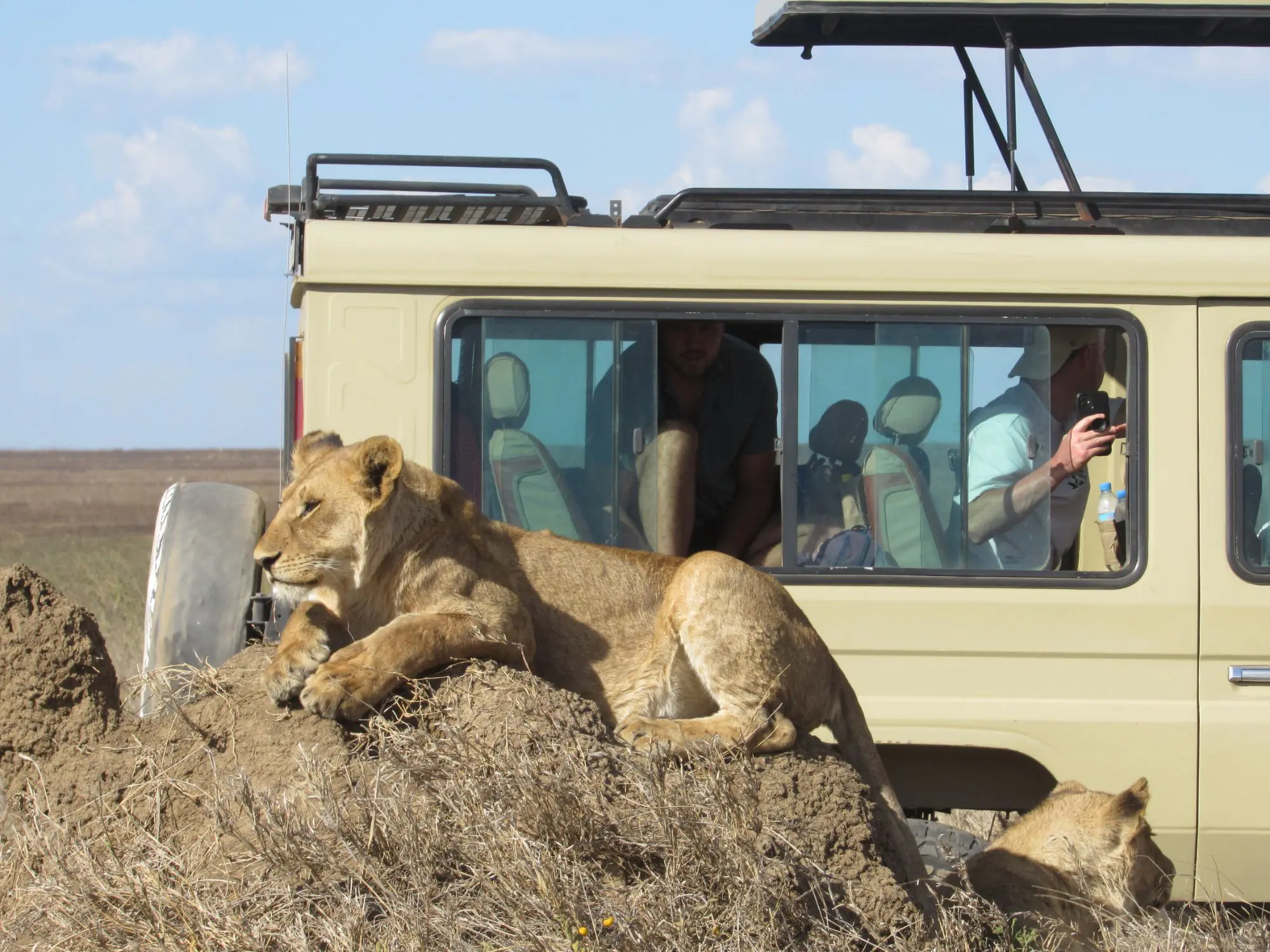 5 days 4 nights safari in Tanzania