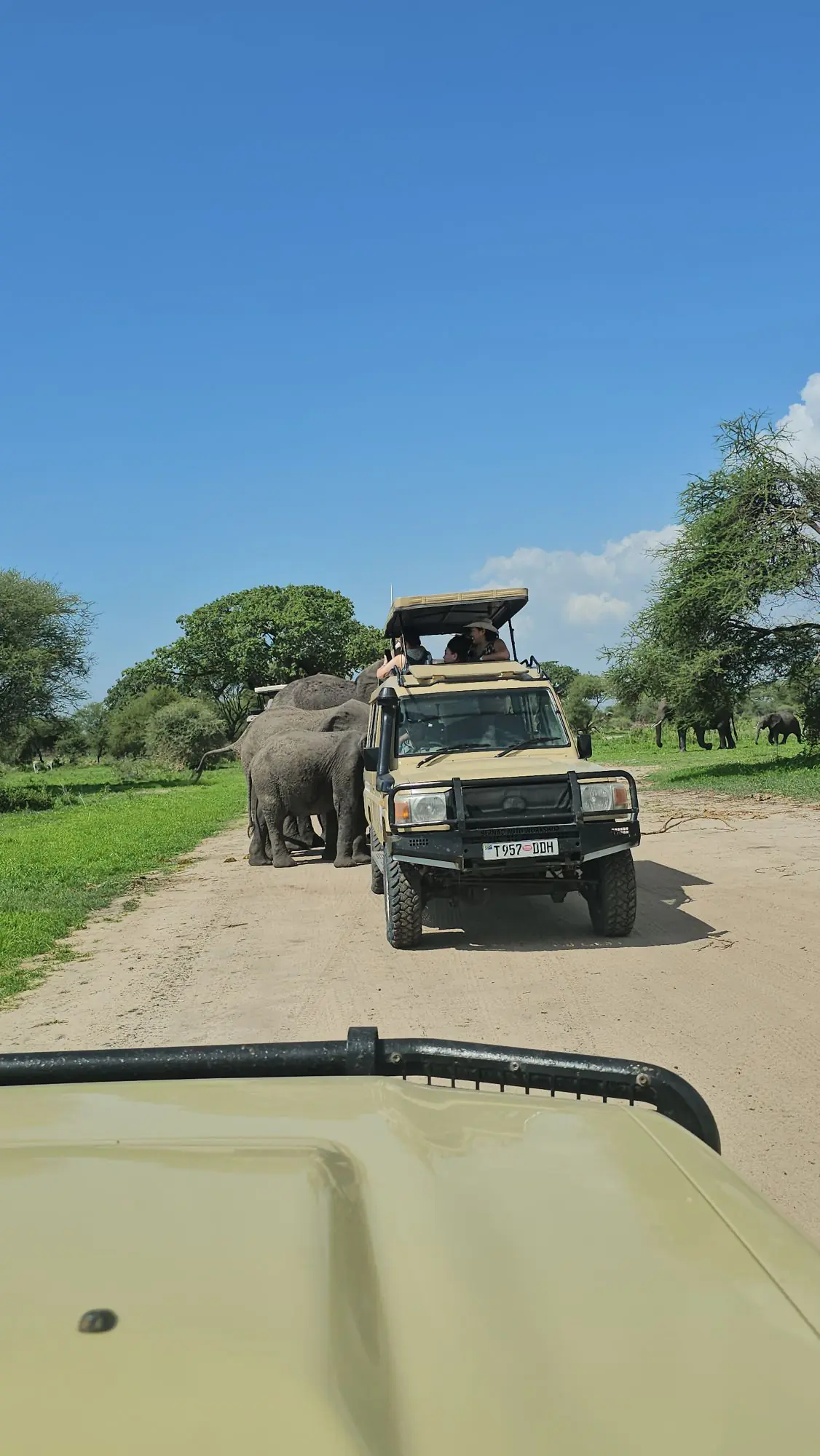 3 Days Tanzania safari for couples Tarangire , Manyara & Ngorongoro crater