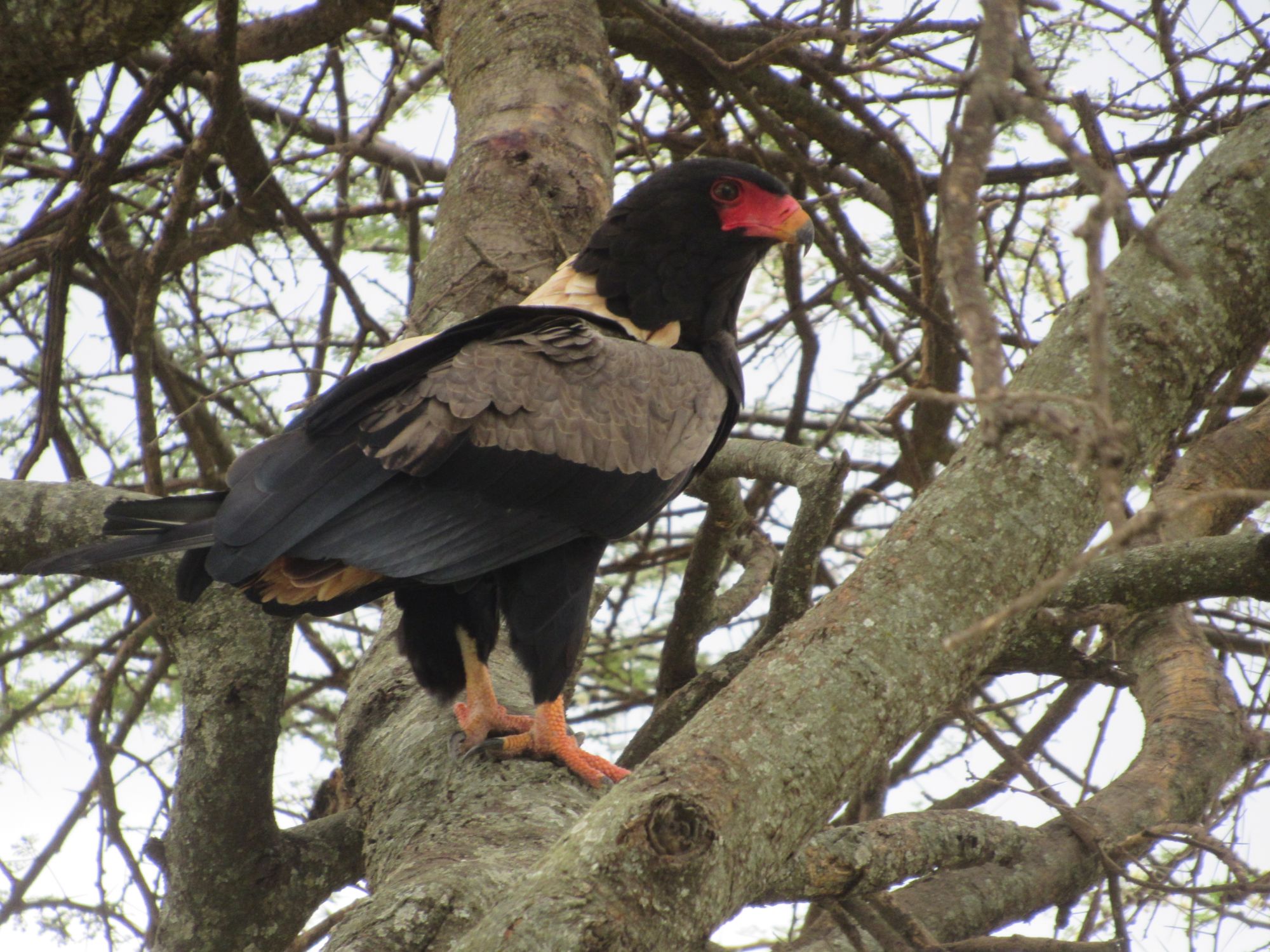 Lake Manyara National Park