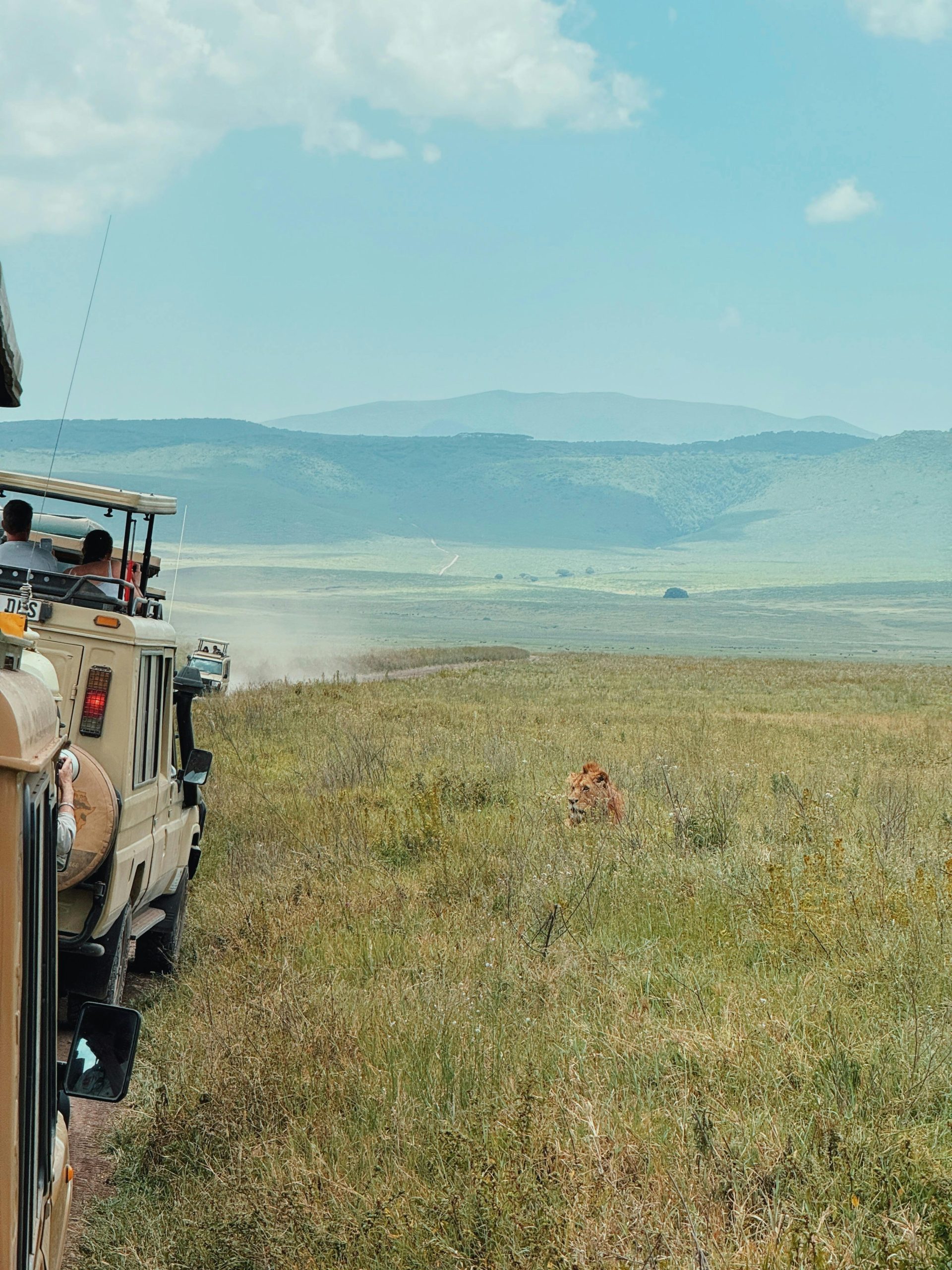 Is a Private Safari Worth It? The Hidden Mechanics of Tanzania Private Tours