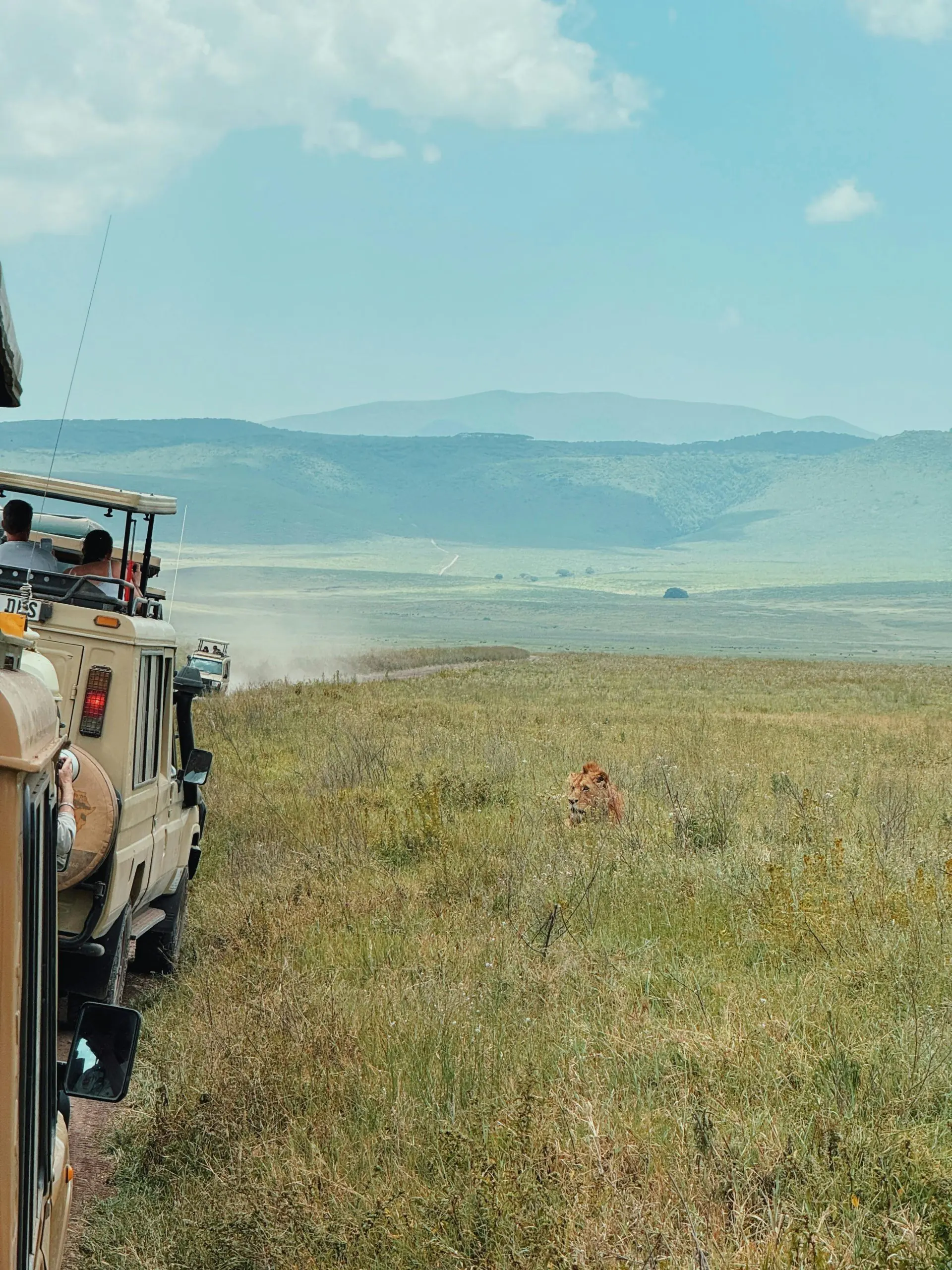 Is a Private Safari Worth It? The Hidden Mechanics of Tanzania Private Tours
