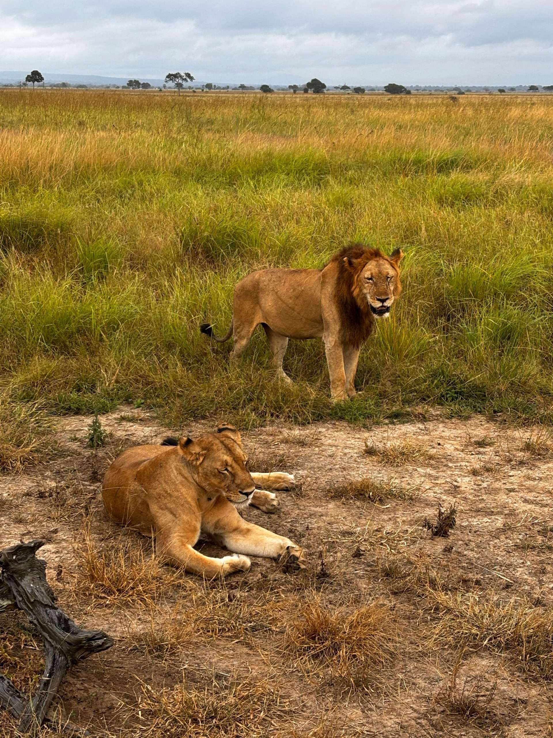 Serengeti National Park