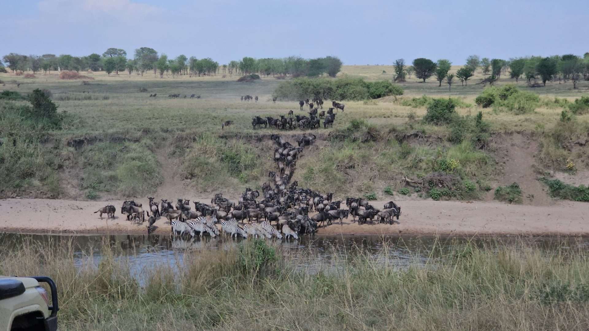 The Great Migration in Tanzania