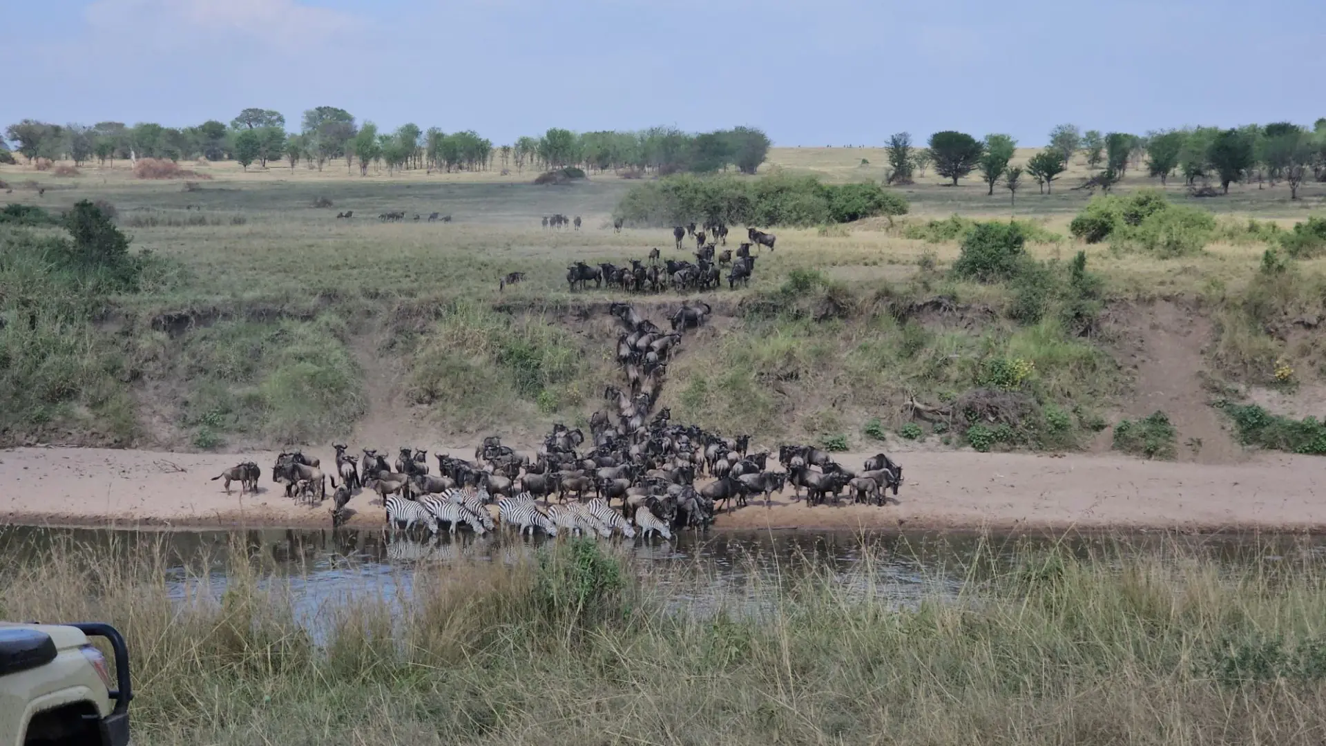 The Great Migration in Tanzania