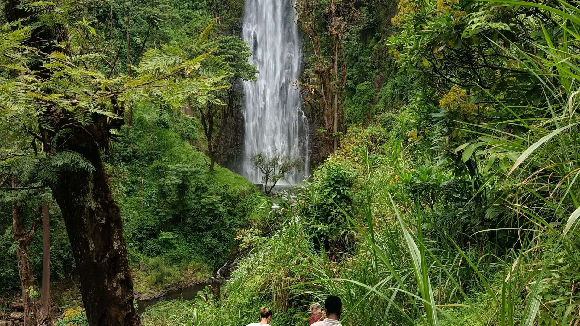 Materuni Waterfall & Coffee Tour